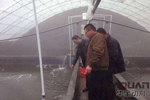 華全分享：立春時(shí)節(jié)，多寶魚養(yǎng)殖不可放松警惕